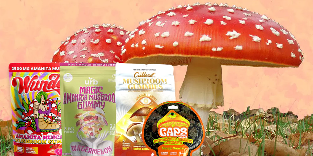 How do mushroom gummies make you feel?