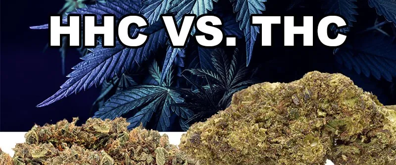 is hhc stronger than thc