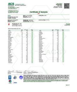 THCV 3chisnowman pg5 pdf 1