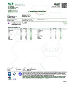 THCV 3chisnowman pg6 pdf