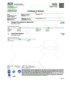 THCV 3chisnowman pg7 pdf