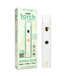 torch baby burnout jazz plant 400x400 1