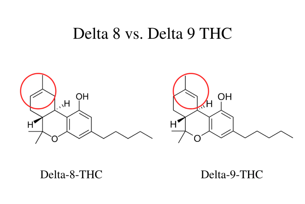 Which makes you higher delta 8 or delta 9?